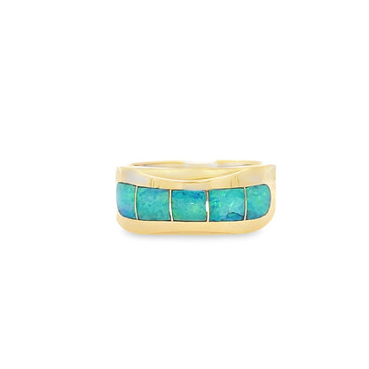Elegant Turquoise Inlay Ring