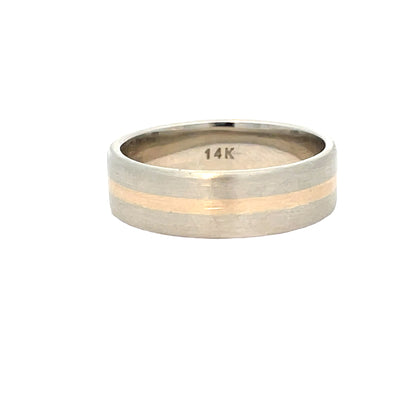 Elegant Two-Tone Band