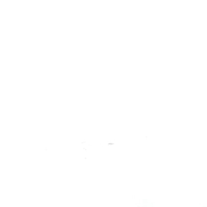 Elegant Diamond Ring